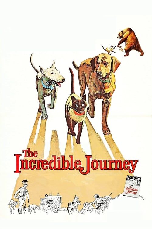 Key visual of The Incredible Journey