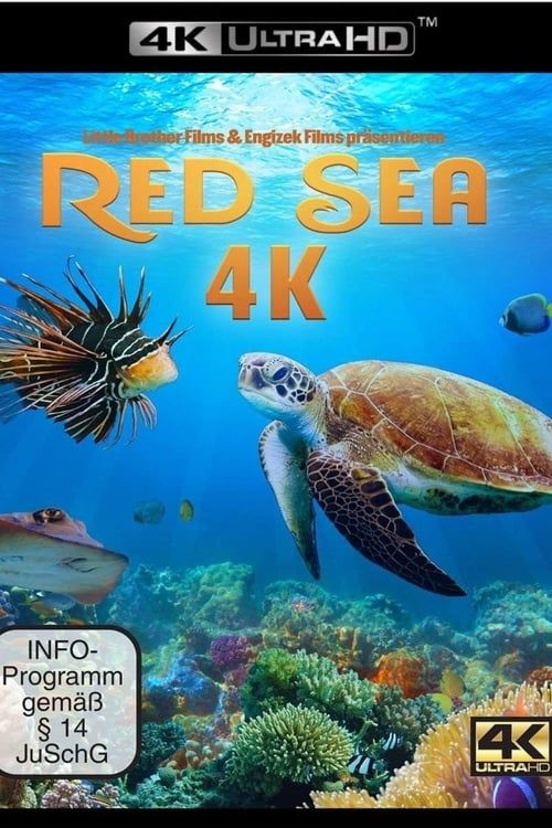 Key visual of Red Sea