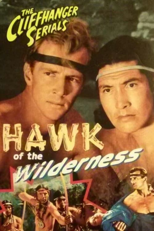 Key visual of Hawk of the Wilderness