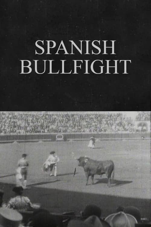 Key visual of Spanish Bullfight