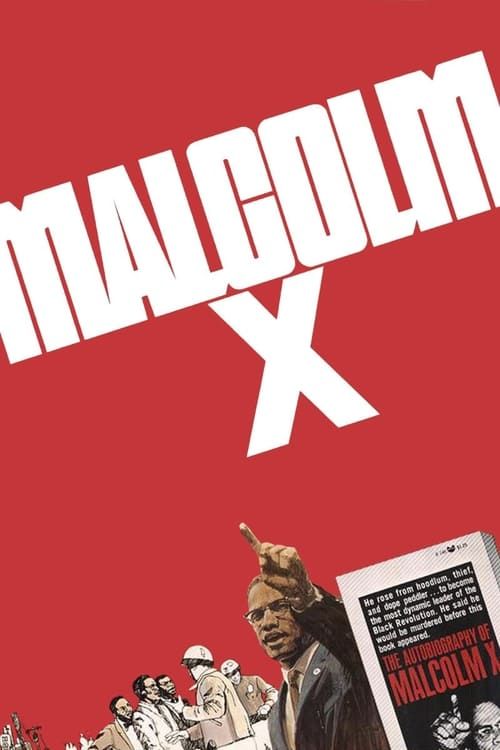 Key visual of Malcolm X