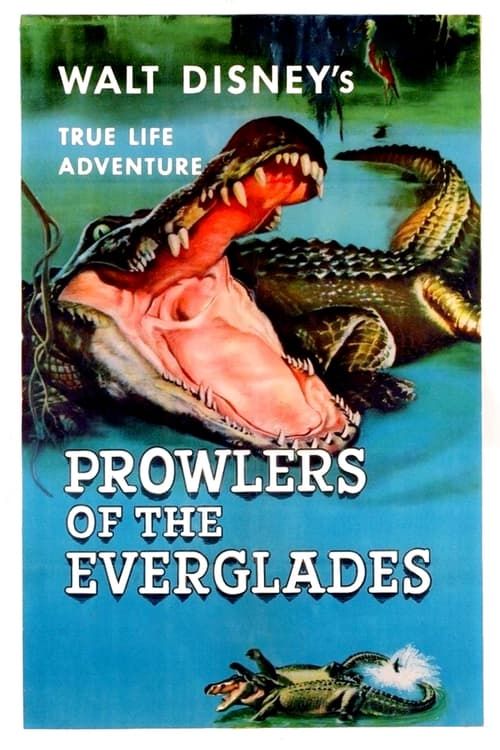 Key visual of Prowlers of the Everglades