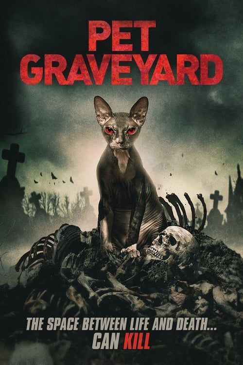 Key visual of Pet Graveyard