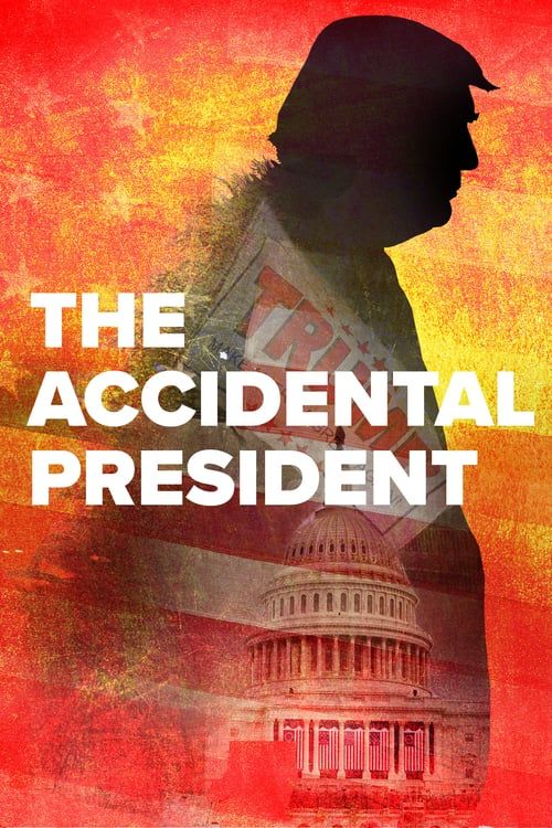 Key visual of The Accidental President
