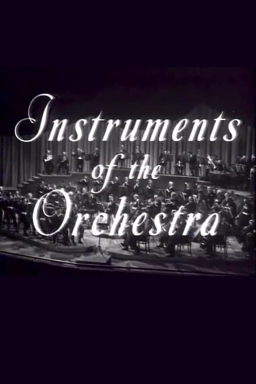 Key visual of Instruments of the Orchestra