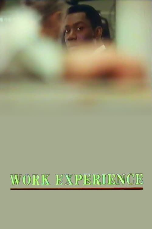 Key visual of Work Experience