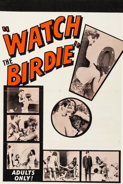 Key visual of Watch the Birdie