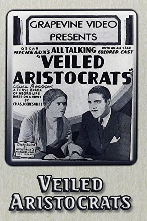 Key visual of Veiled Aristocrats