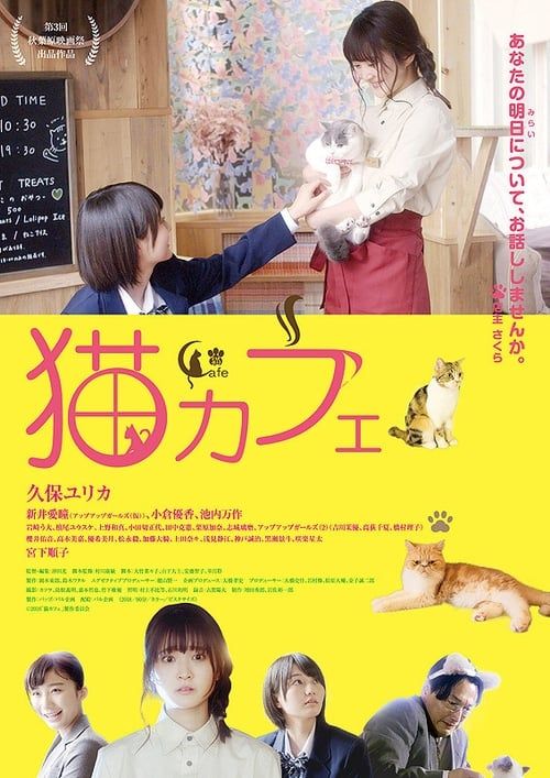 Key visual of Cat Cafe