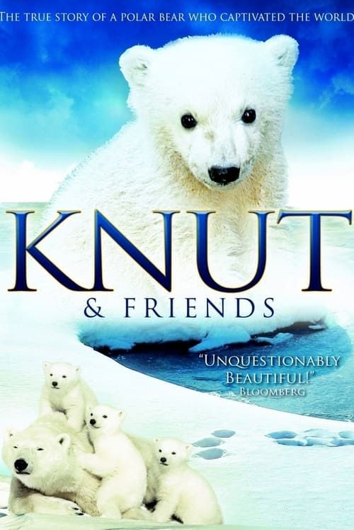 Key visual of Knut & Friends