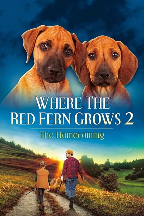 Key visual of Where The Red Fern Grows Part 2