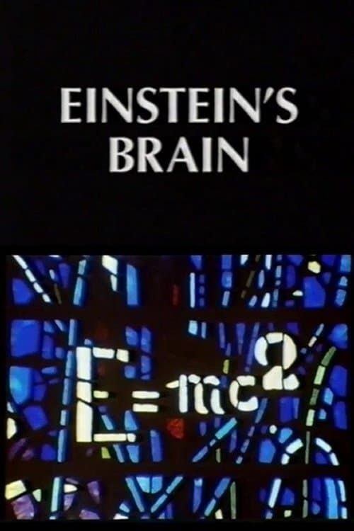Key visual of Relics: Einstein's Brain