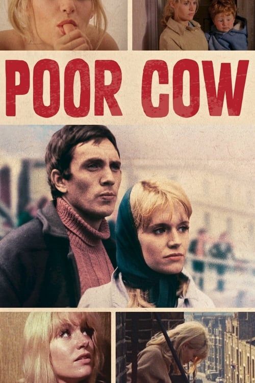 Key visual of Poor Cow