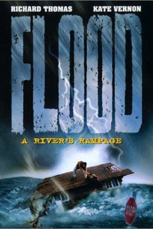 Key visual of Flood: A River's Rampage