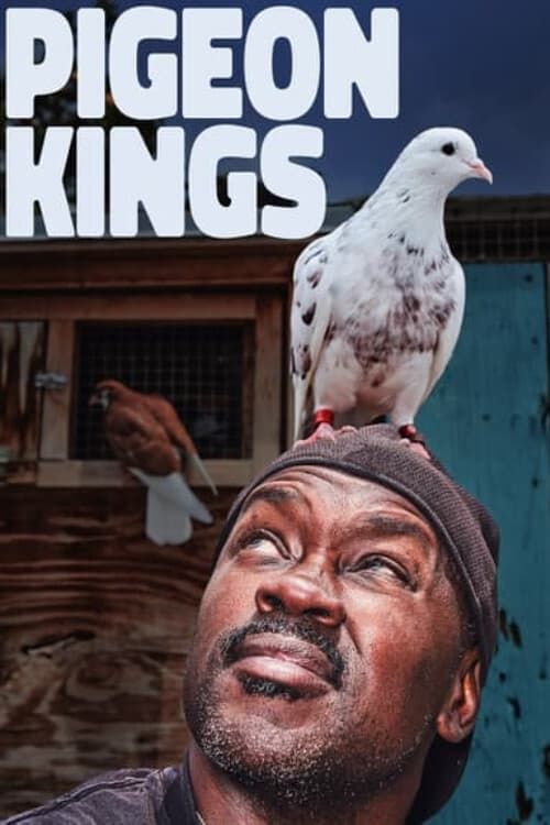 Key visual of Pigeon Kings