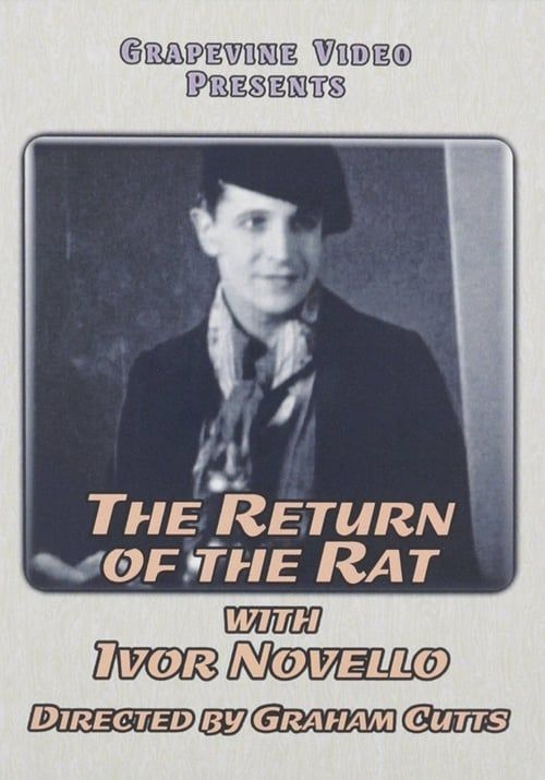 Key visual of The Return of the Rat