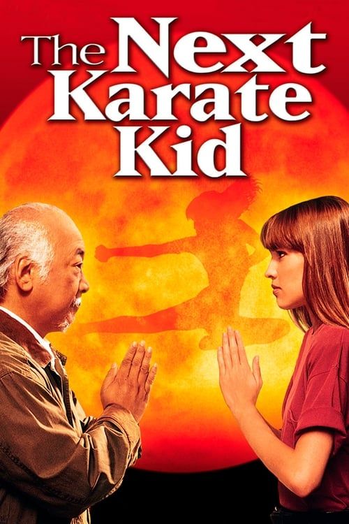 Key visual of The Next Karate Kid