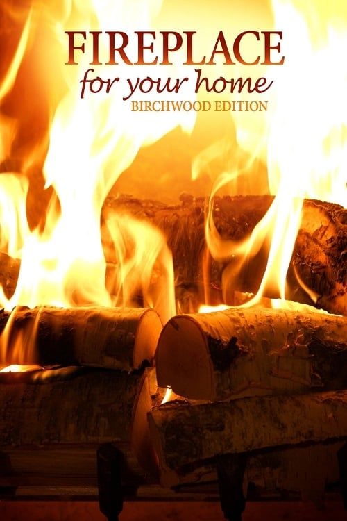 Key visual of Fireplace for Your Home: Birchwood Edition
