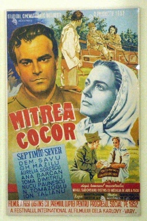 Key visual of Mitrea Cocor