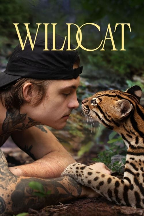 Key visual of Wildcat