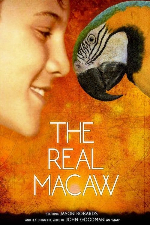 Key visual of The Real Macaw