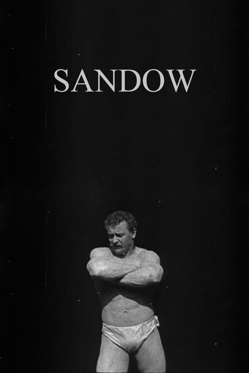 Key visual of Sandow