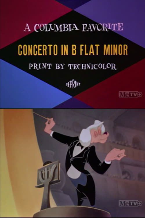 Key visual of Concerto in B Flat Minor