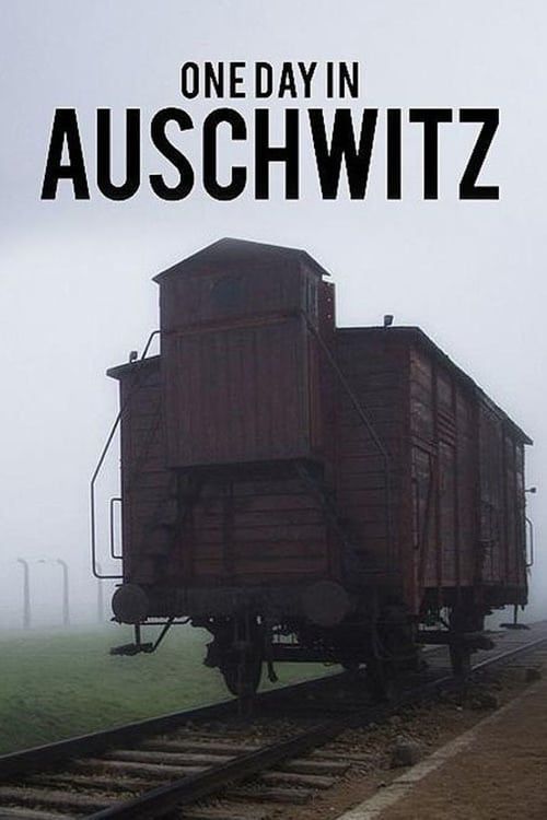 Key visual of One Day in Auschwitz