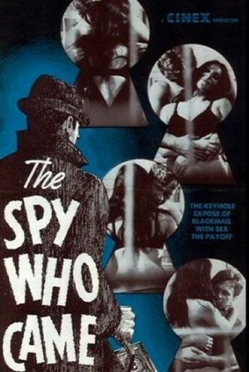 Key visual of The Spy Who Came