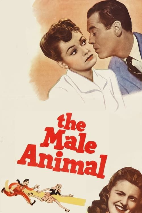 Key visual of The Male Animal