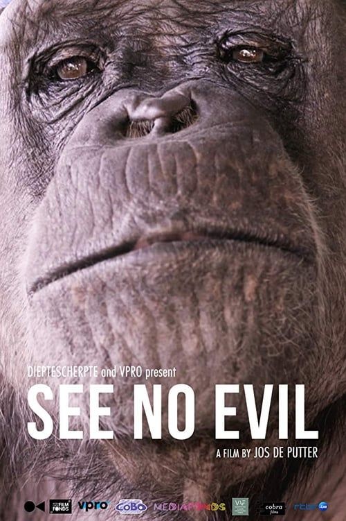 Key visual of See No Evil