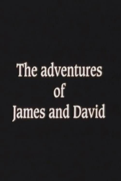 Key visual of The Adventures of James and David