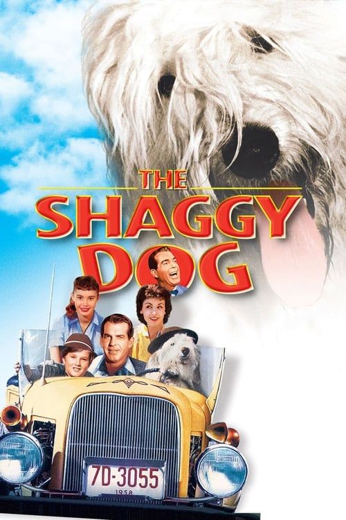 Key visual of The Shaggy Dog