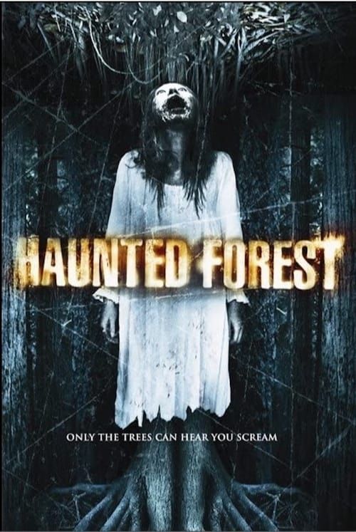 Key visual of Haunted Forest