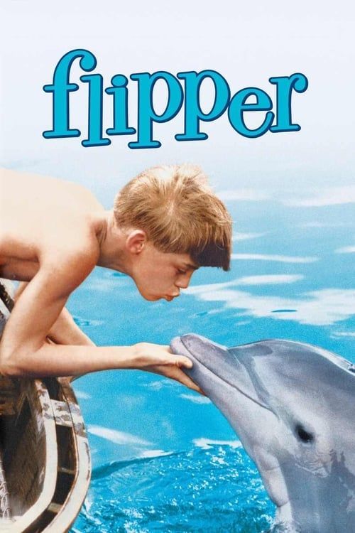 Key visual of Flipper