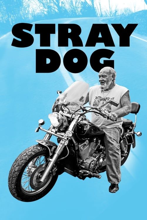 Key visual of Stray Dog