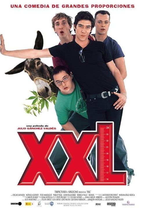 Key visual of XXL