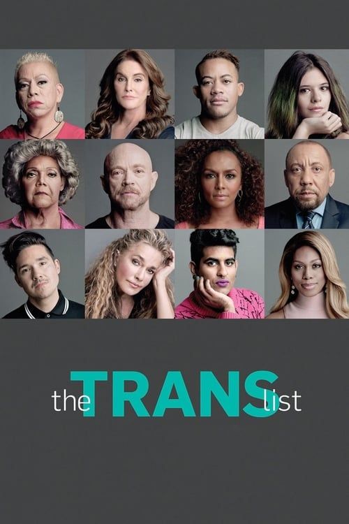 Key visual of The Trans List