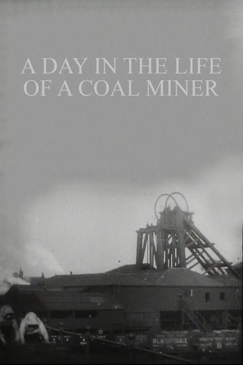 Key visual of A Day in the Life of a Coal Miner