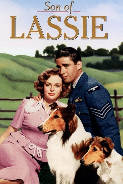 Key visual of Son of Lassie