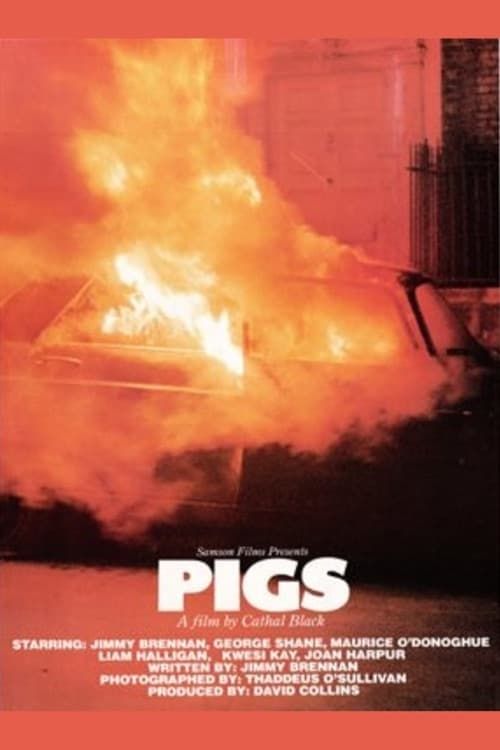 Key visual of Pigs