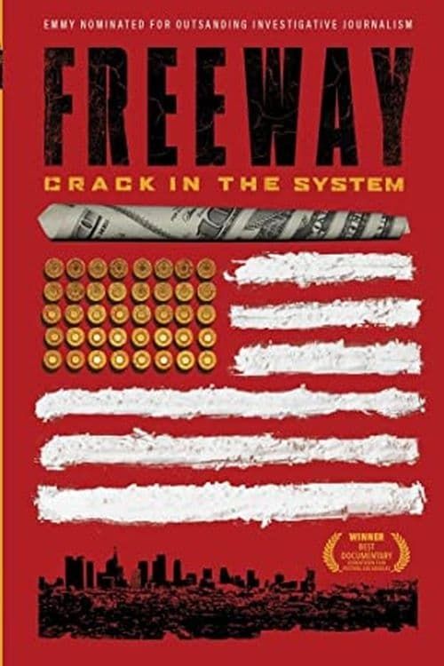 Key visual of Freeway: Crack in the System