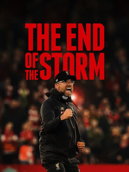 Key visual of The End of the Storm