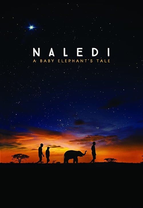 Key visual of Naledi: A Baby Elephant's Tale