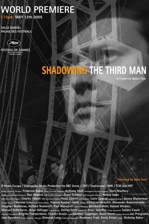 Key visual of Shadowing the Third Man