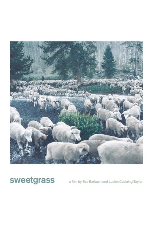 Key visual of Sweetgrass