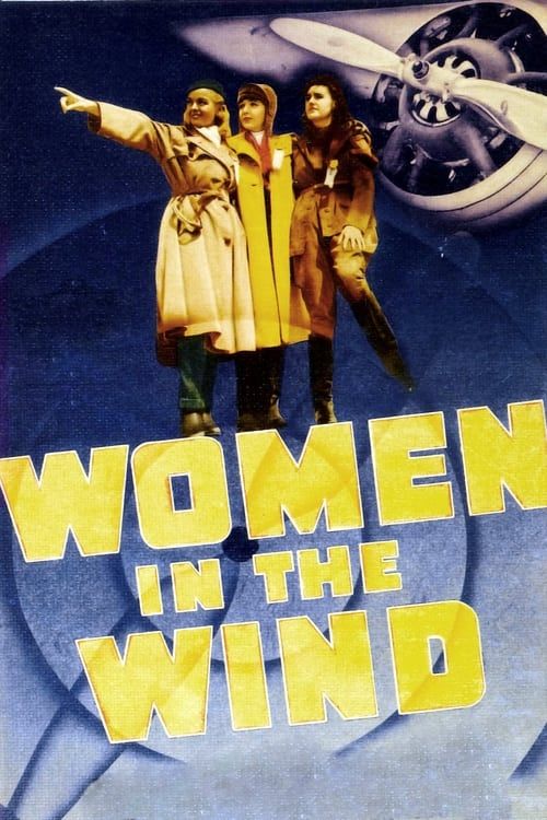 Key visual of Women in the Wind