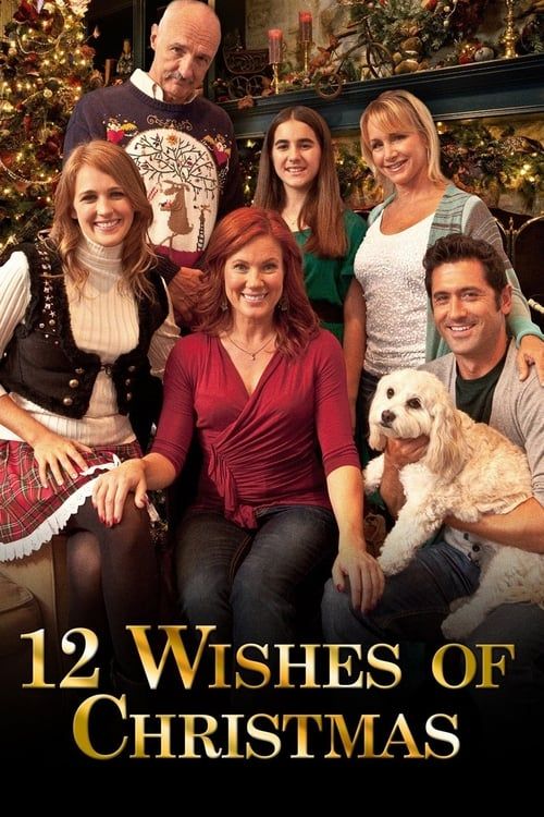 Key visual of 12 Wishes of Christmas