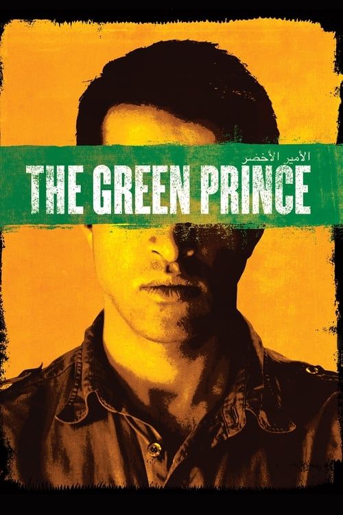 Key visual of The Green Prince