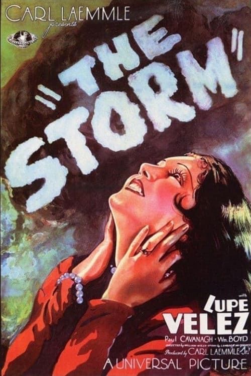 Key visual of The Storm